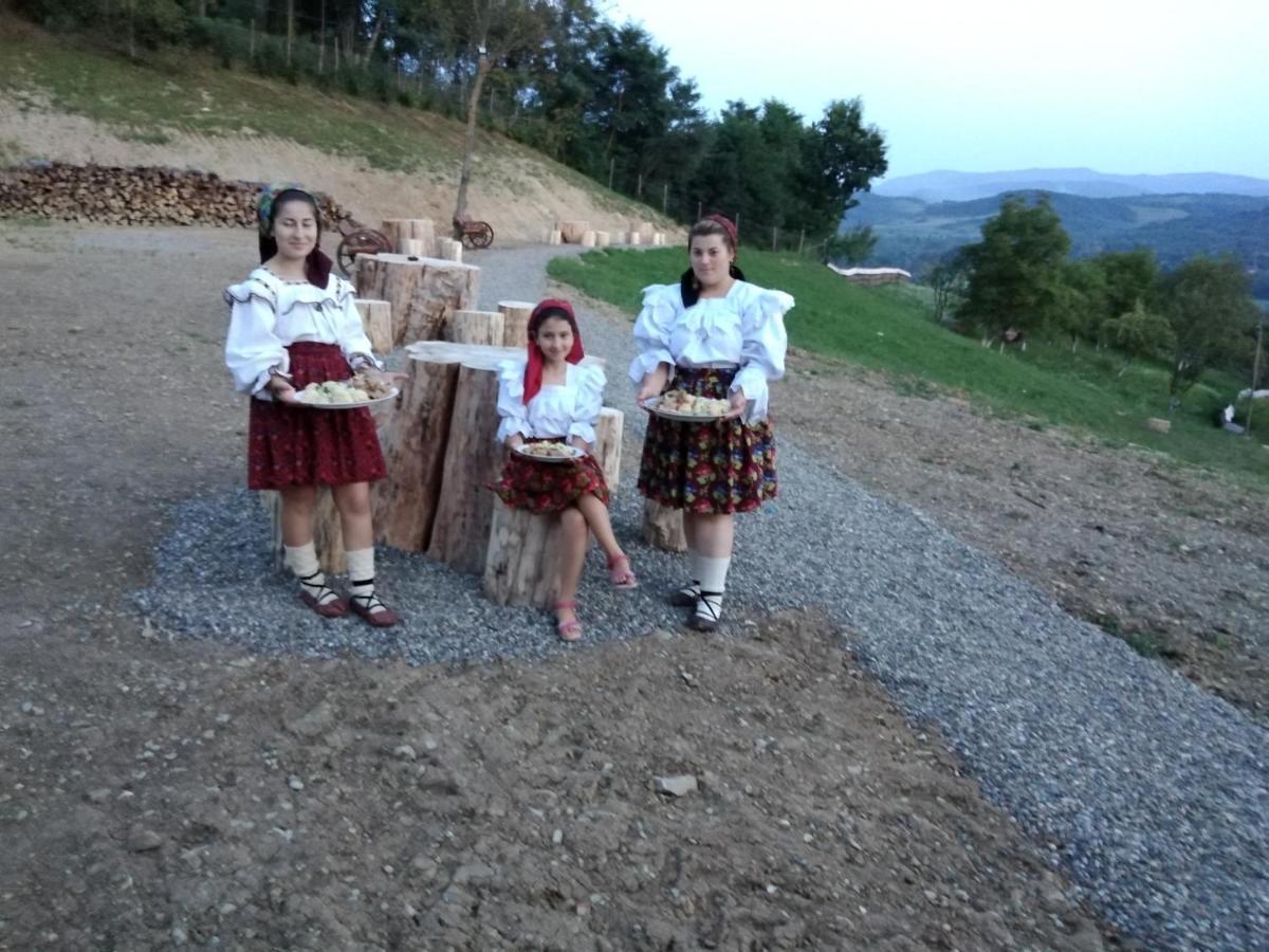 Pensiunea Valea Branzei Nanesti Exterior foto