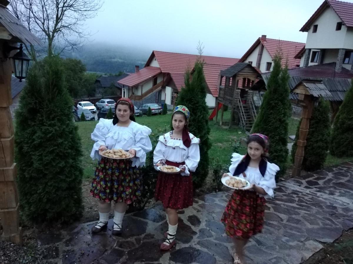 Pensiunea Valea Branzei Nanesti Exterior foto