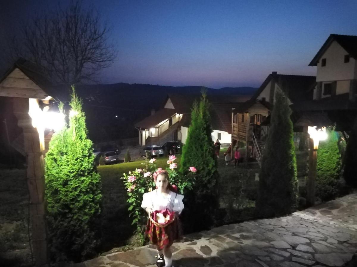 Pensiunea Valea Branzei Nanesti Exterior foto