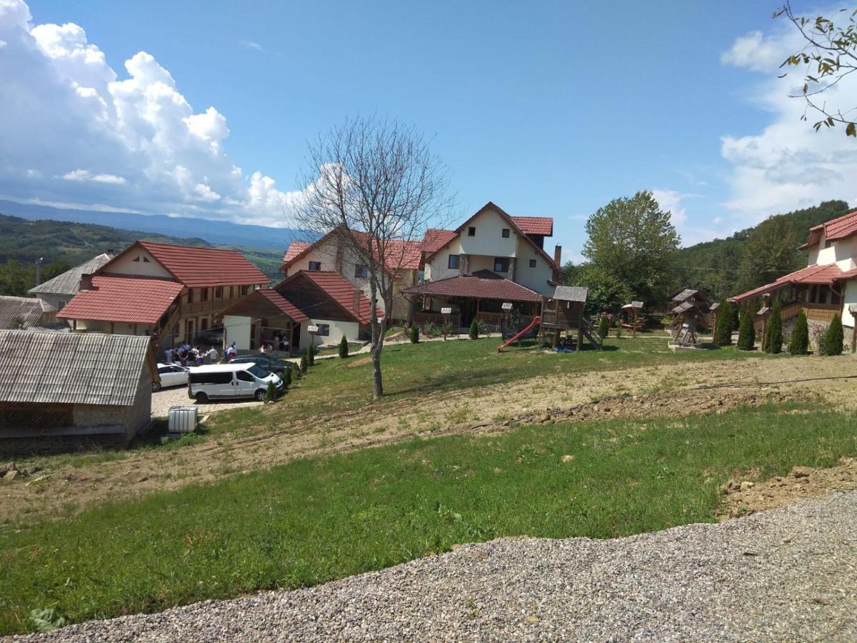 Pensiunea Valea Branzei Nanesti Exterior foto