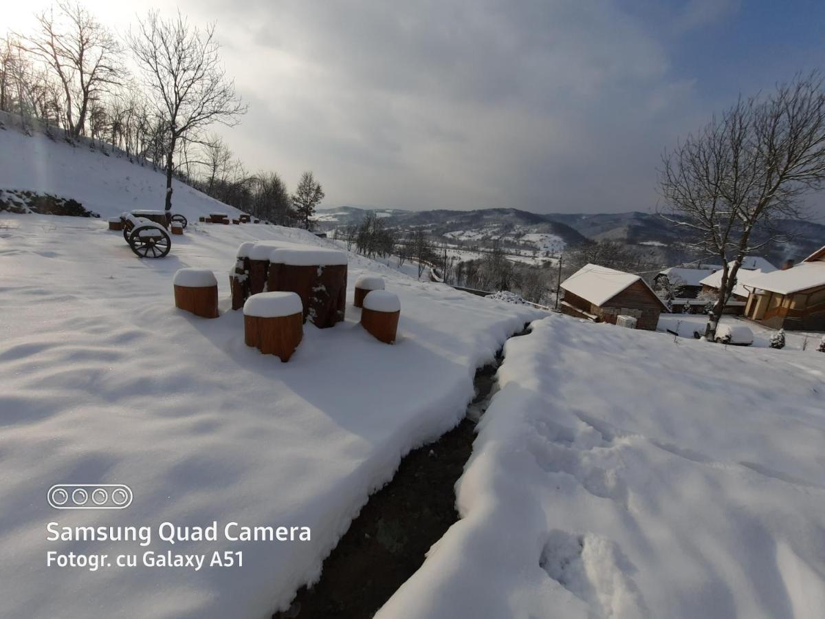 Pensiunea Valea Branzei Nanesti Exterior foto