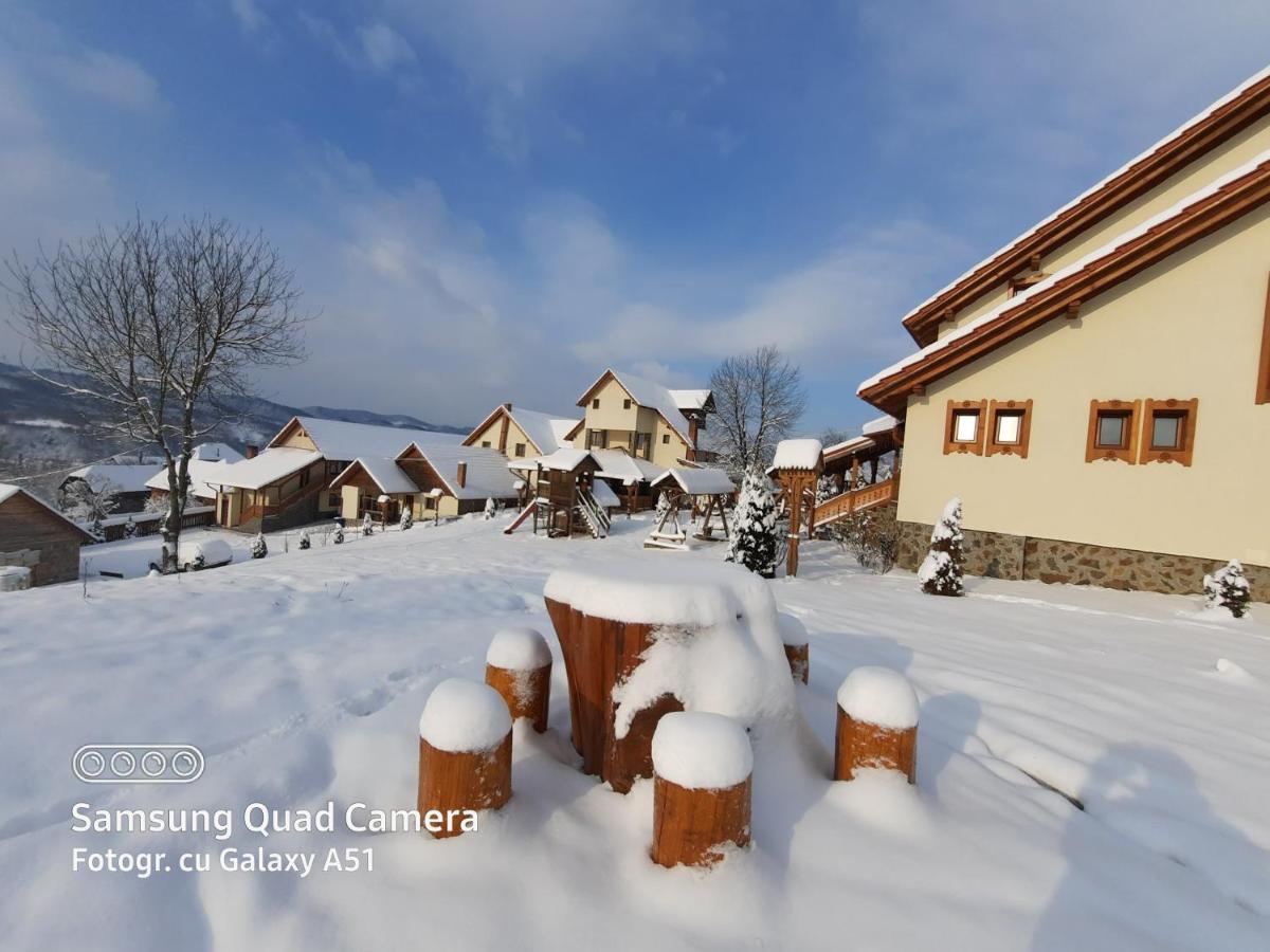 Pensiunea Valea Branzei Nanesti Exterior foto