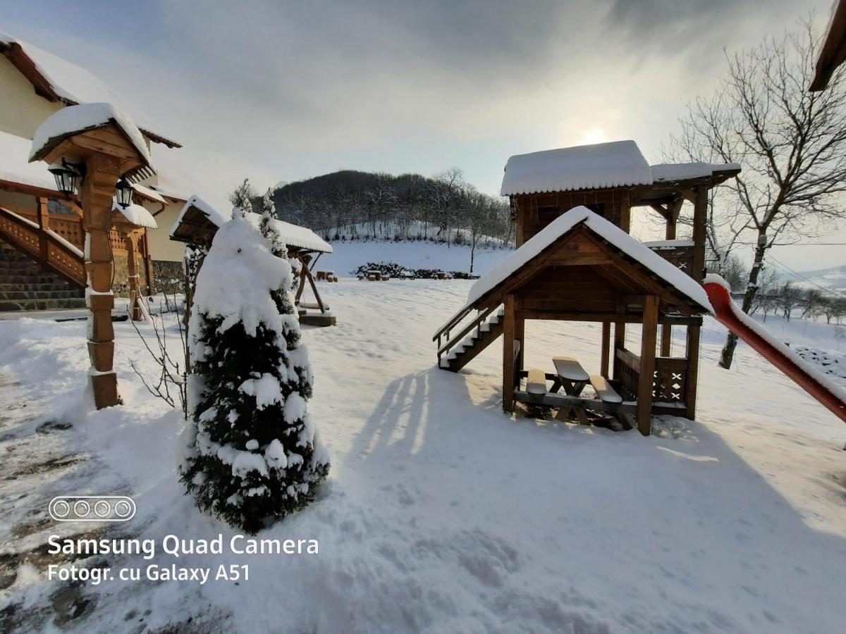 Pensiunea Valea Branzei Nanesti Exterior foto