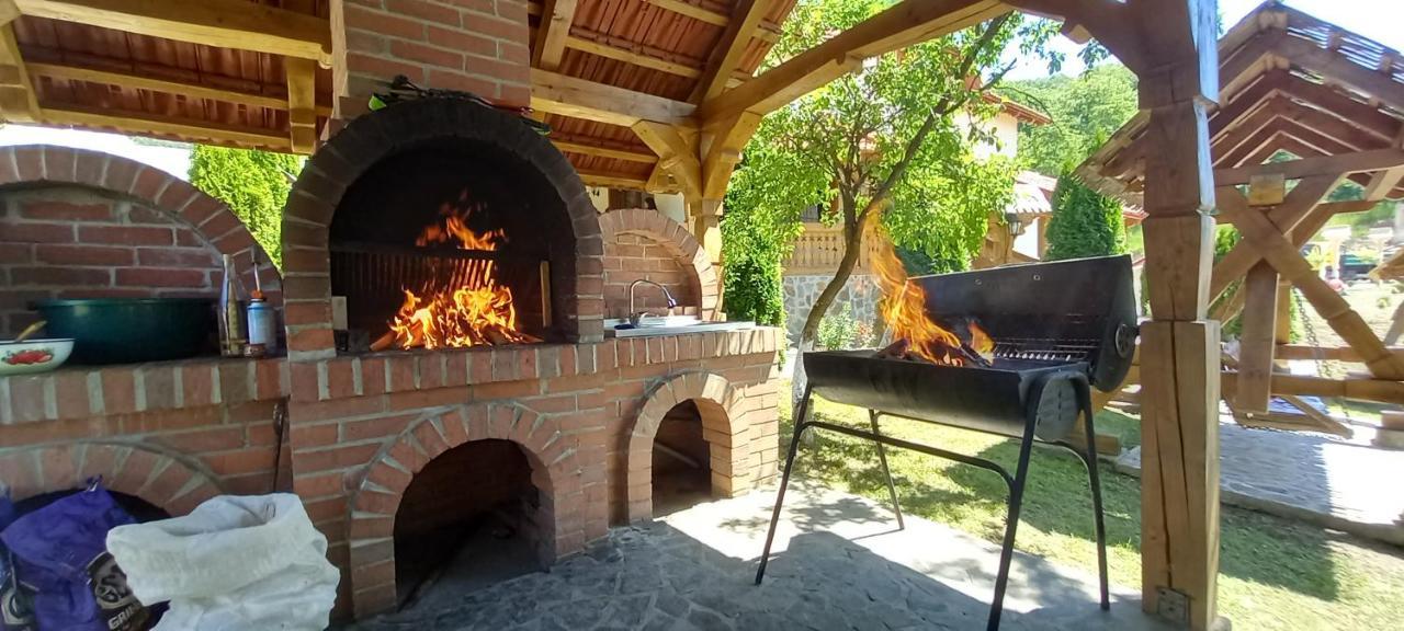 Pensiunea Valea Branzei Nanesti Exterior foto