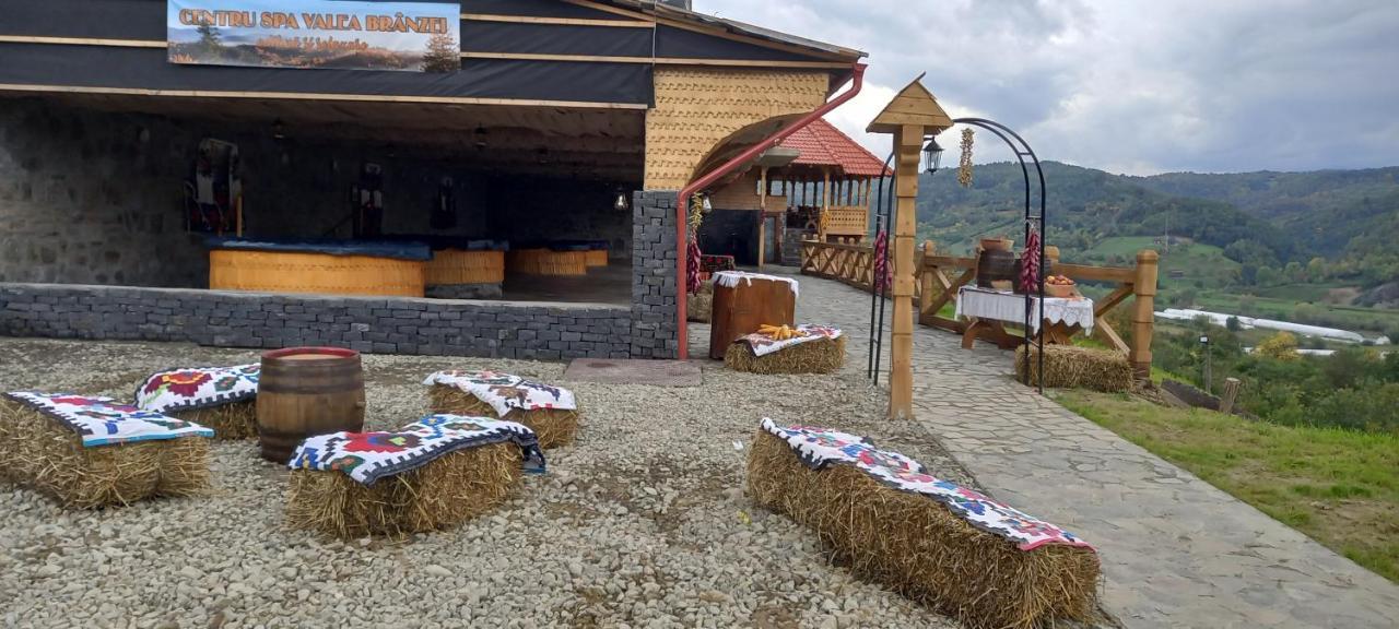 Pensiunea Valea Branzei Nanesti Exterior foto