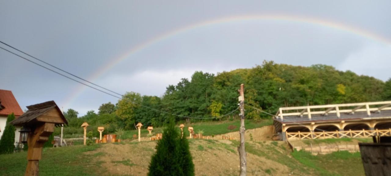 Pensiunea Valea Branzei Nanesti Exterior foto