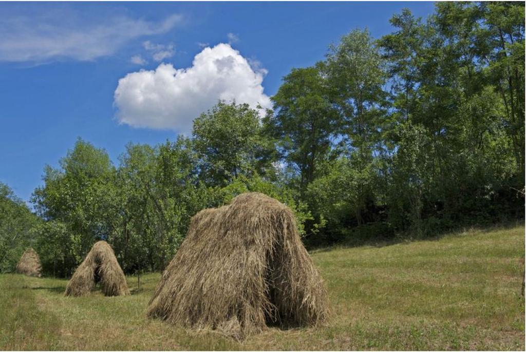 Pensiunea Valea Branzei Nanesti Exterior foto