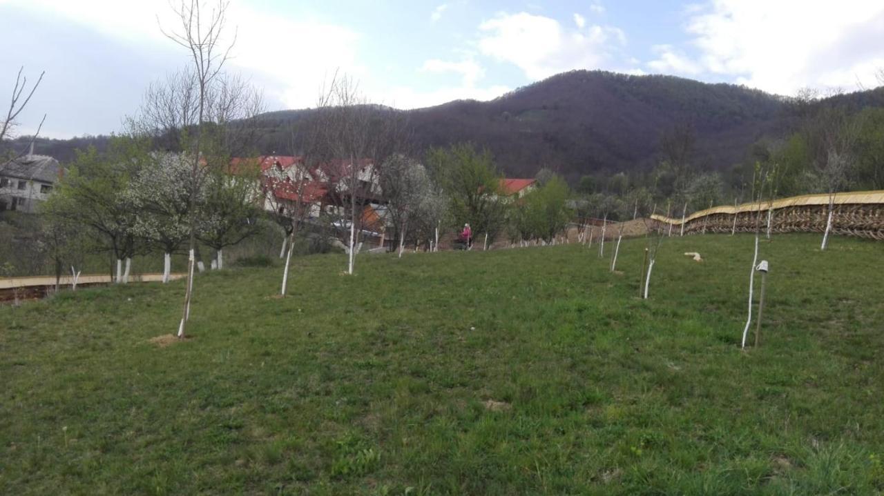 Pensiunea Valea Branzei Nanesti Exterior foto